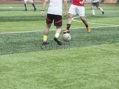 印尼归化再,添新血,托希尔确认,皇冠体育官网,皇冠体育入口,皇冠体育平台,皇冠体育官方