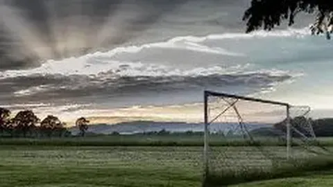 南宁日报——详尽报道